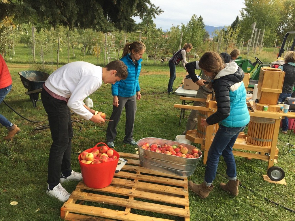 Youth and adults cutting apples and turning the wooden cider press in an orchard